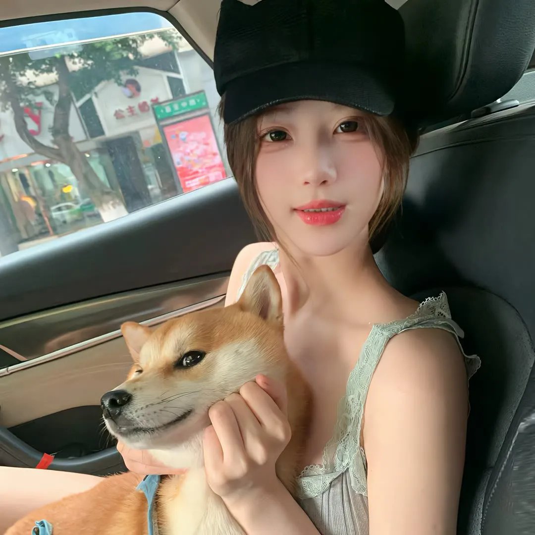 正义小包公